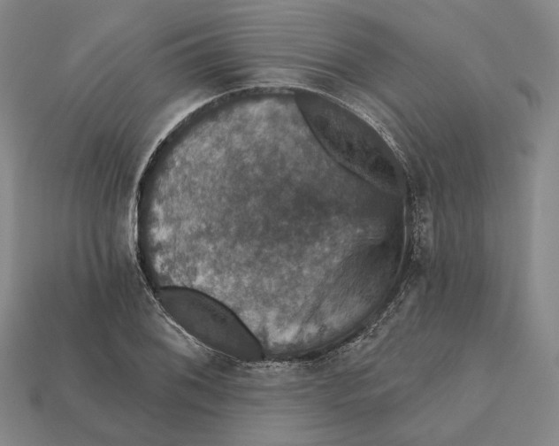 X0000112431076200909111025