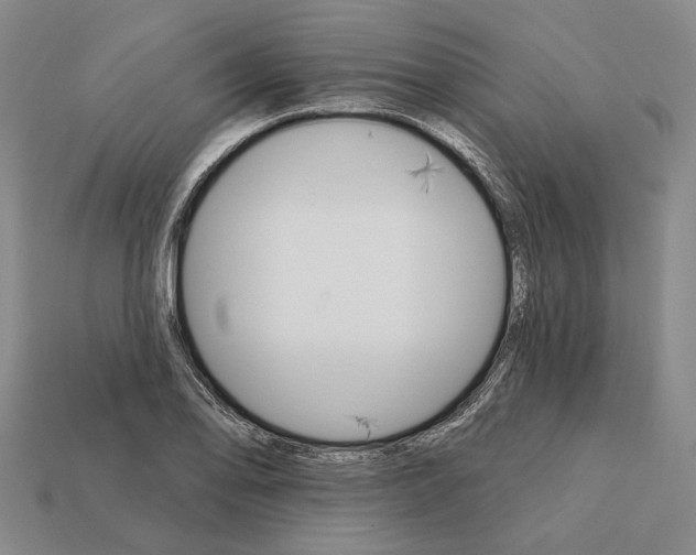 X0000112431078200909111025