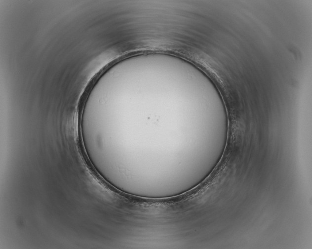 X0000112431079200909111025