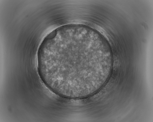 X0000112431080200909111025