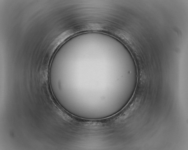 X0000112431081200909111025