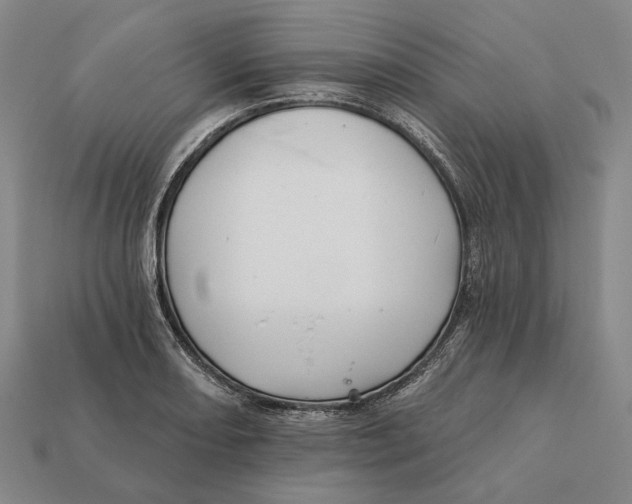 X0000112431082200909111025