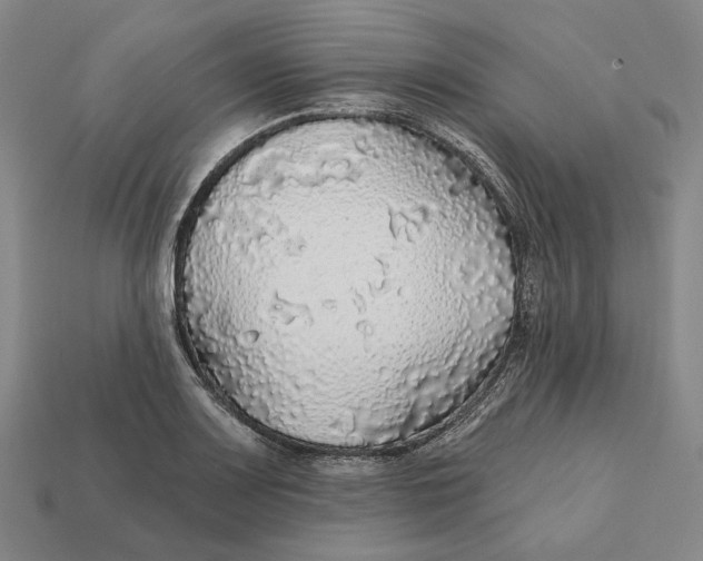 X0000112431083200909111025