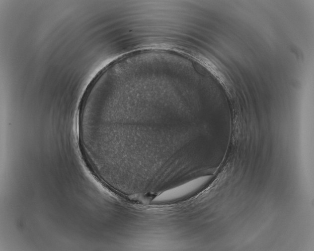 X0000112431084200909111025