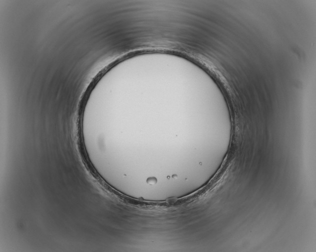 X0000112431085200909111025