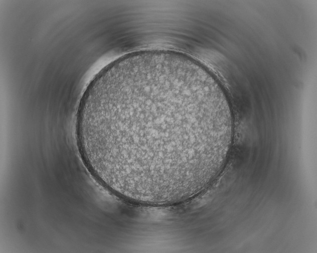 X0000112431086200909111025