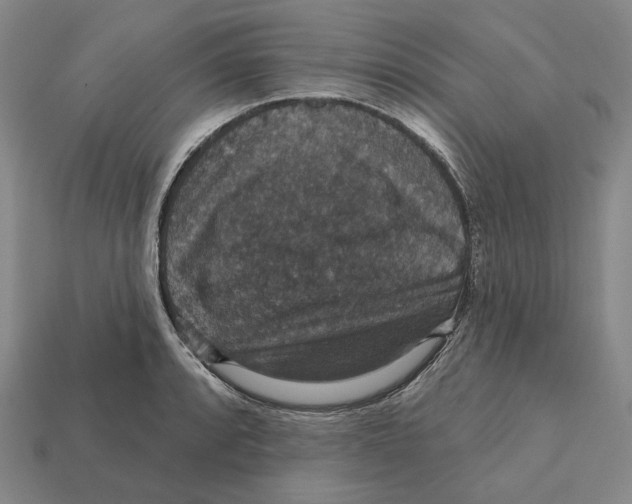 X0000112431088200909111025