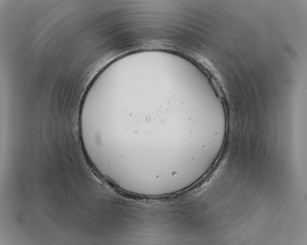 X0000112431089200909111025