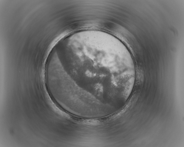 X0000112431090200909111025