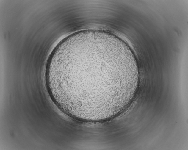 X0000112431091200909111025