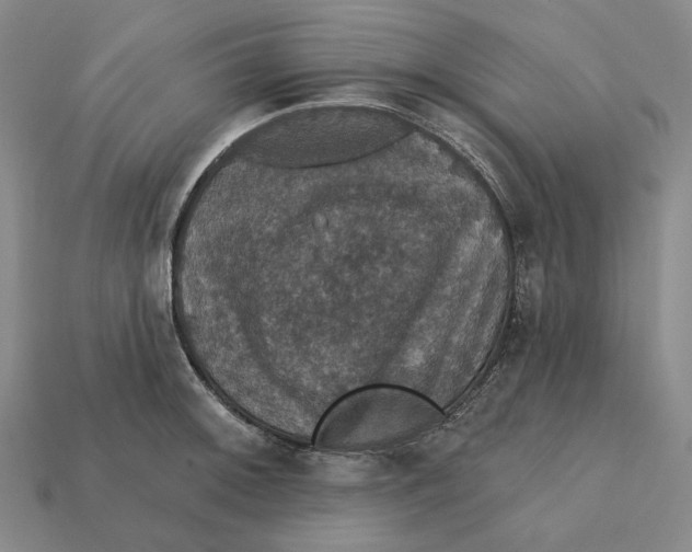 X0000112431092200909111025
