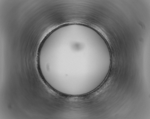 X0000112431093200909111025