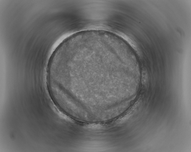 X0000112431094200909111025
