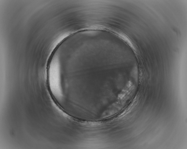 X0000112431095200909111025