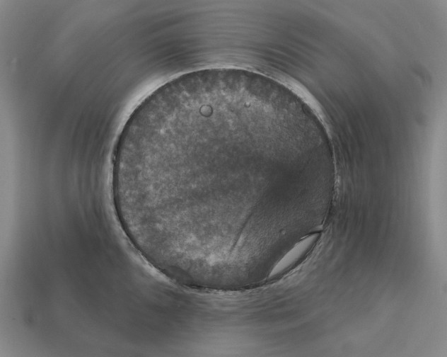 X0000112431096200909111025