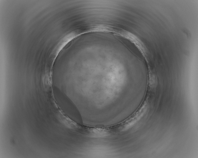 X0000112431097200909111025