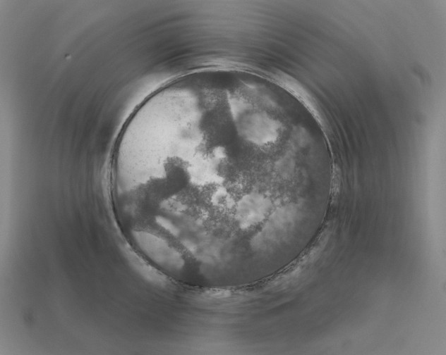 X0000112431098200909111025