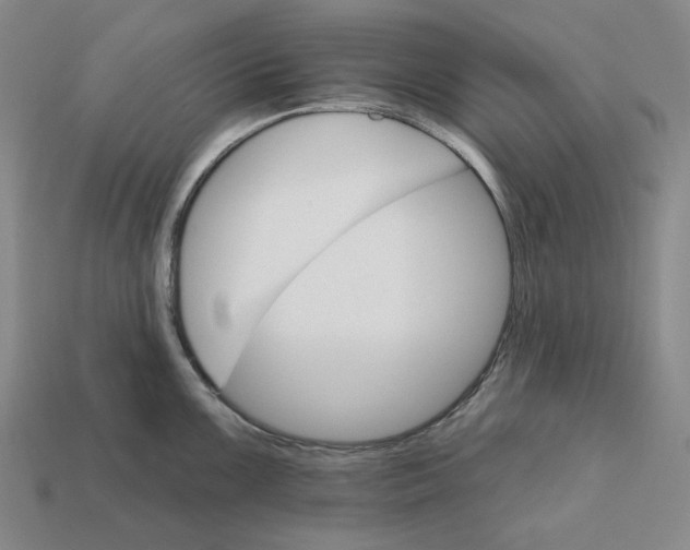 X0000112431099200909111025