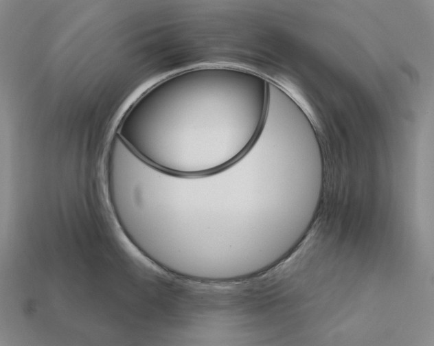 X0000112431100200909111025