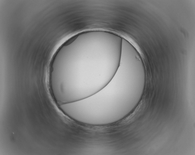 X0000112431101200909111025