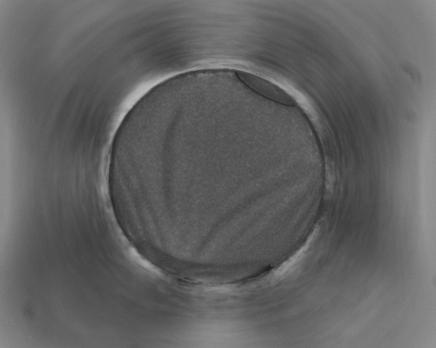 X0000112431102200909111025