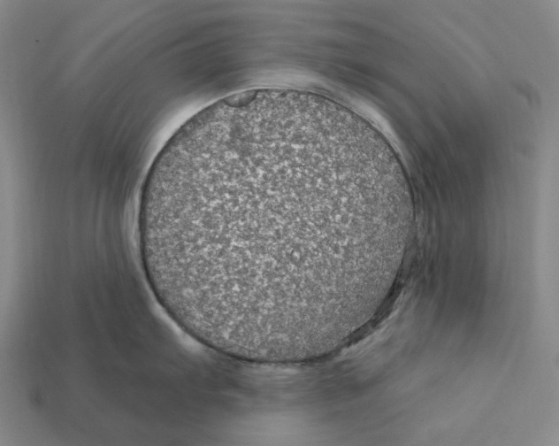 X0000112431103200909111025