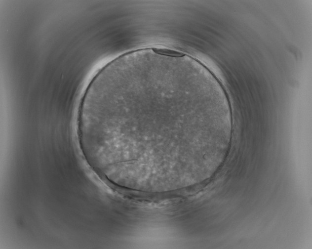 X0000112431104200909111025