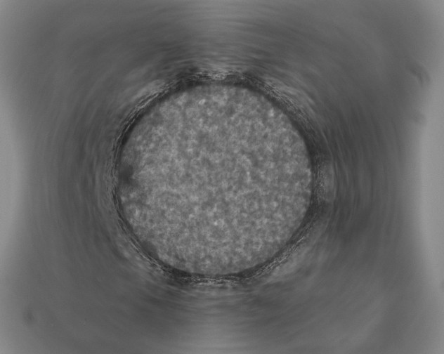 X0000112431105200909111024