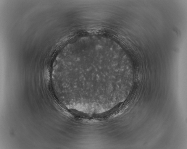 X0000112431106200909111024