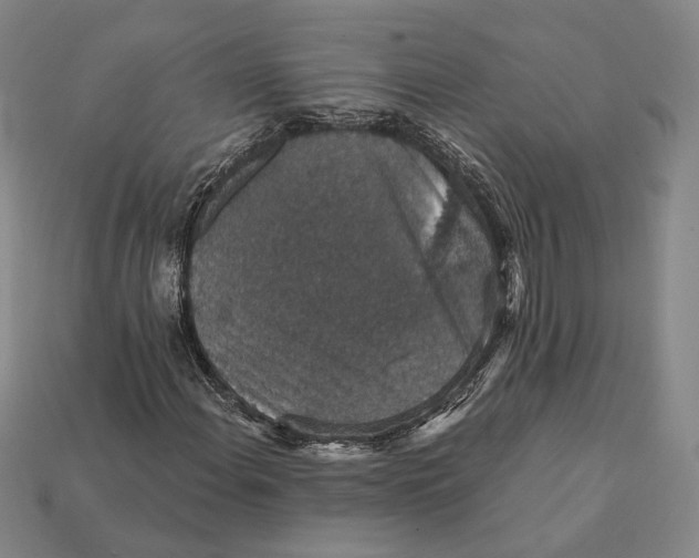 X0000112431108200909111024