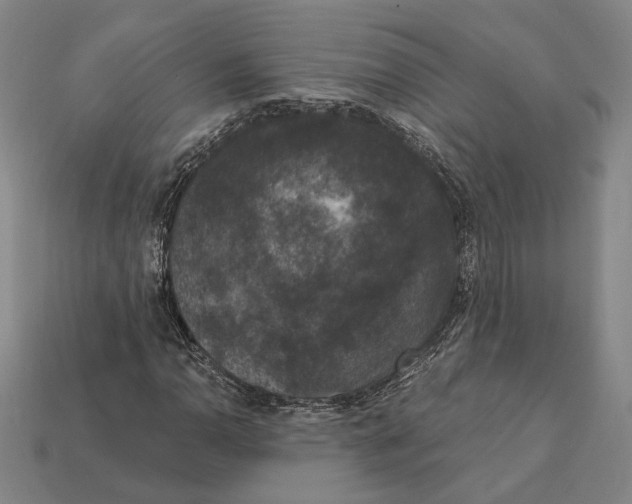 X0000112431110200909111024