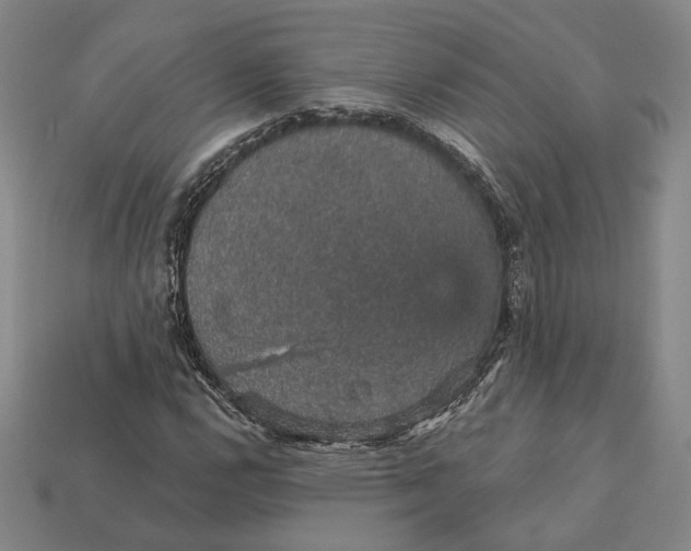 X0000112431112200909111024