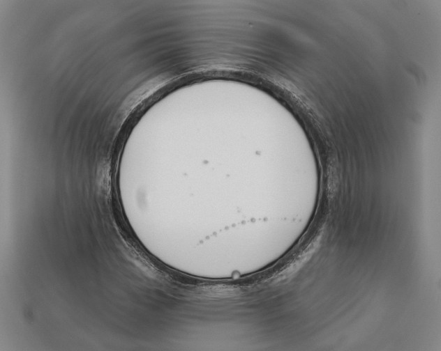X0000112431113200909111024