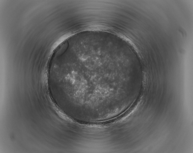 X0000112431114200909111024