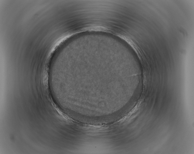 X0000112431115200909111024