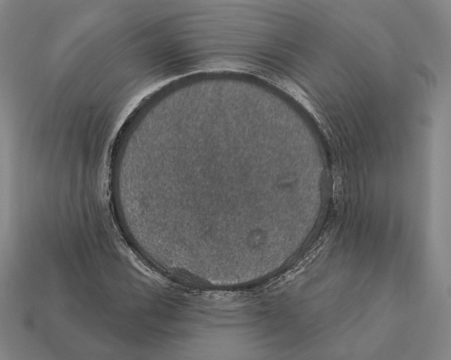 X0000112431116200909111024