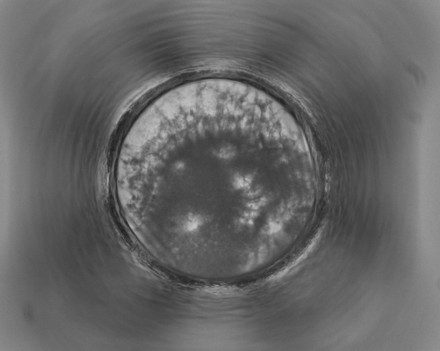 X0000112431117200909111024