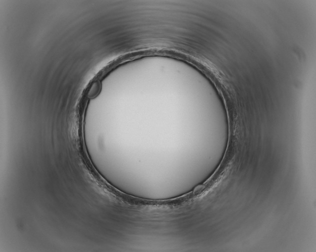 X0000112431118200909111024