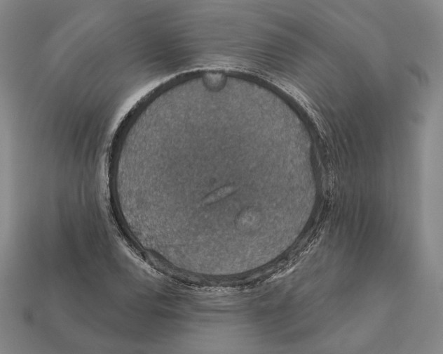 X0000112431120200909111024