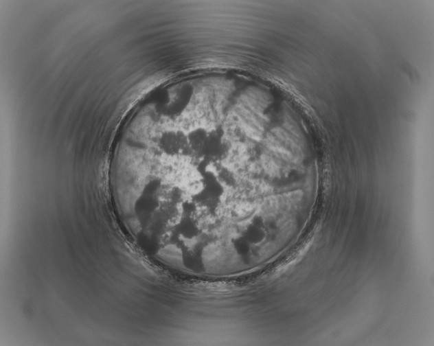 X0000112431121200909111024