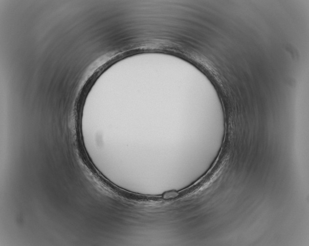 X0000112431122200909111024