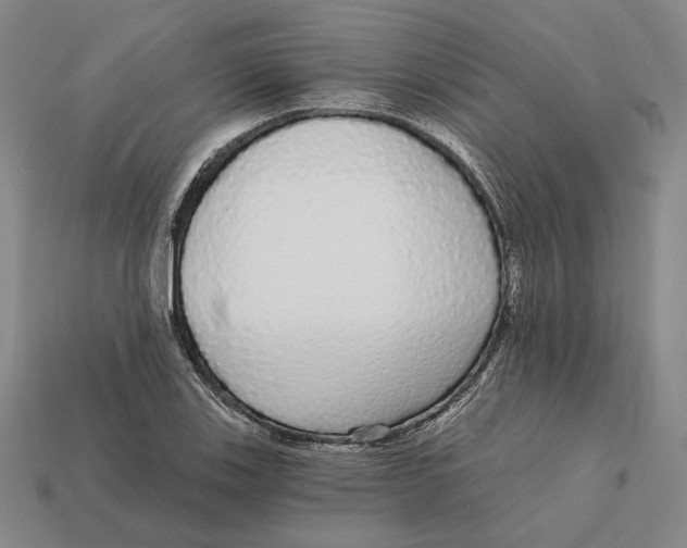 X0000112431123200909111024