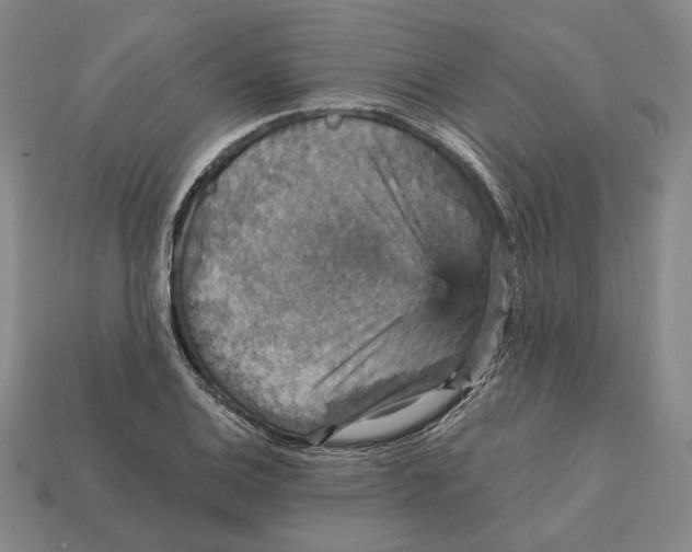 X0000112431124200909111024