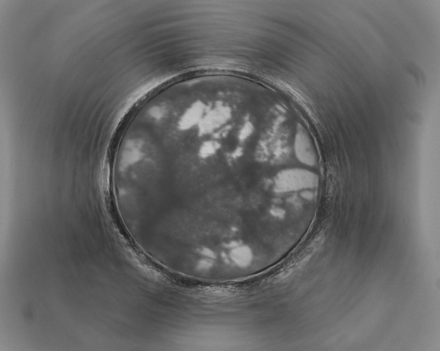 X0000112431125200909111024
