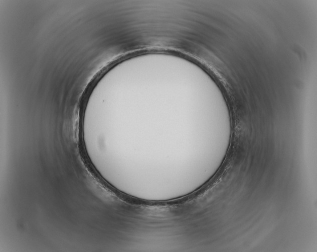 X0000112431126200909111024