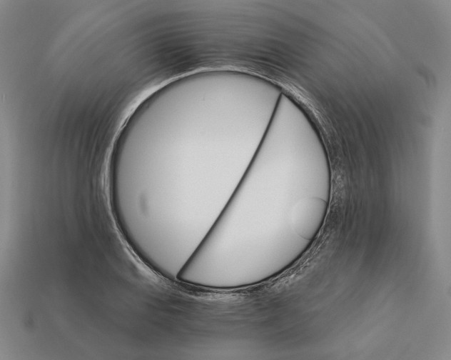 X0000112431127200909111024