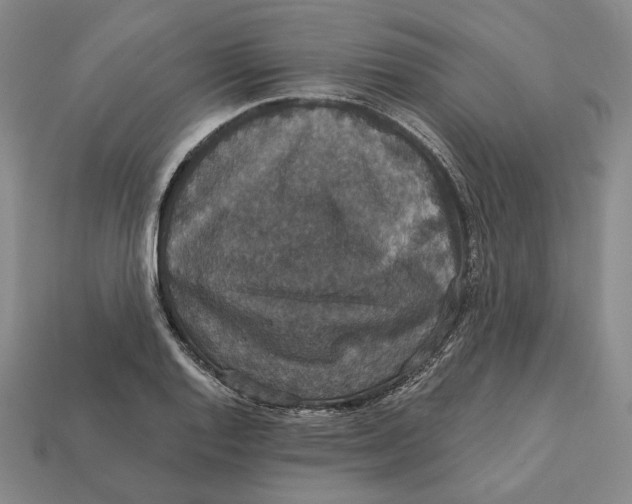 X0000112431128200909111025