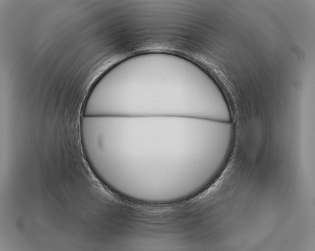 X0000112431129200909111025