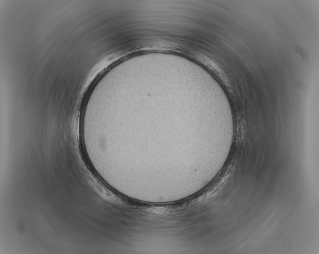 X0000112431130200909111025