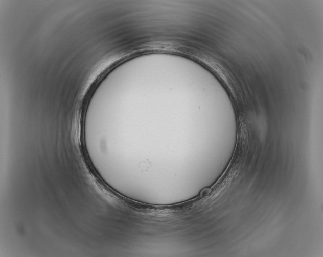 X0000112431131200909111025